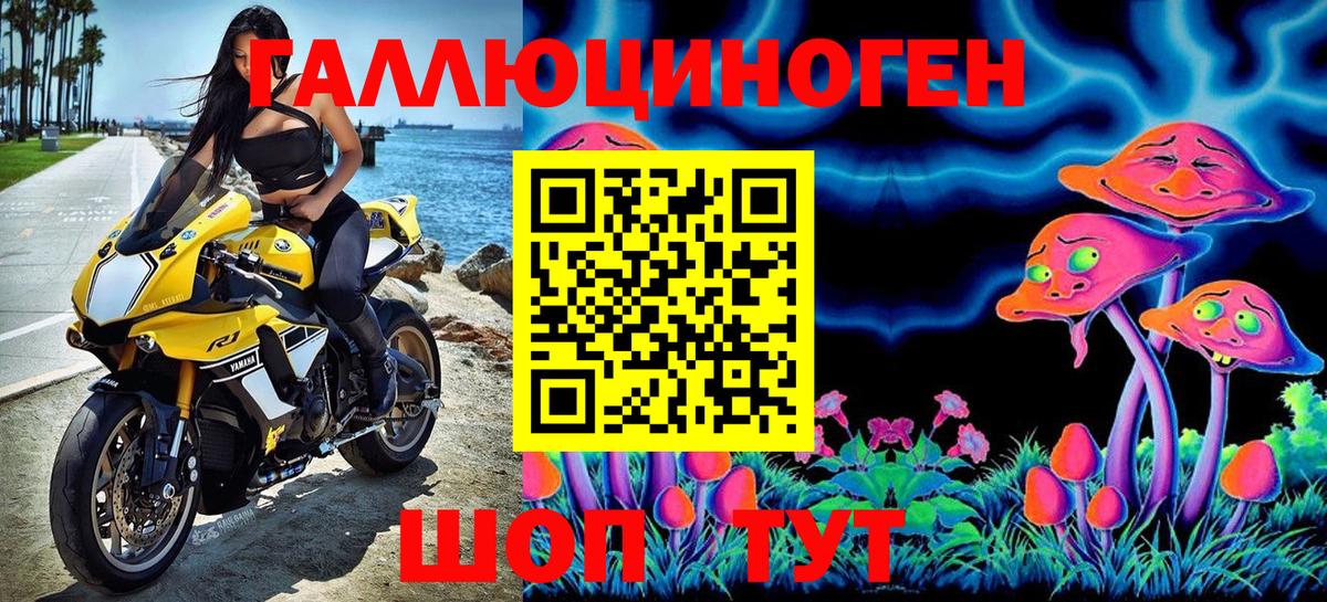 сколько стоит  Вход с VPN  Гусиноозёрск  Псилоцибиновые грибы Magic Shrooms 